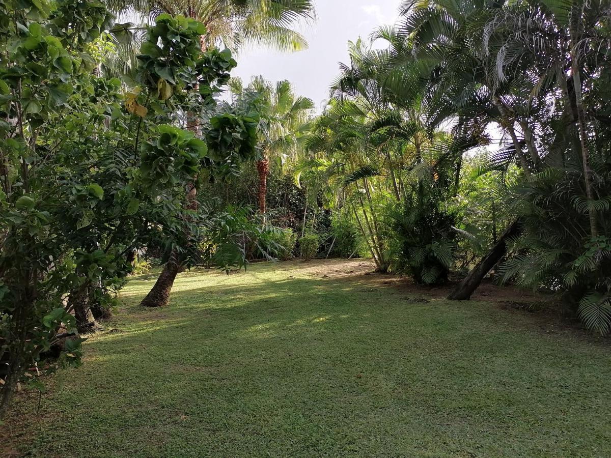 نادي Private One Bedroom Suite المظهر الخارجي الصورة